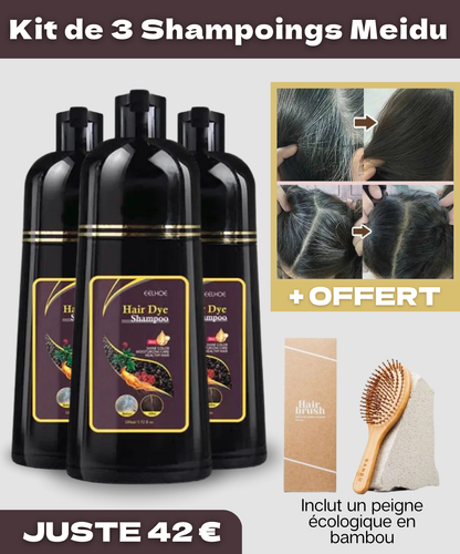 Shampoing Colorant 3-en-1 pour Cheveux Blancs + Peigne Écologique en Bambou Offert