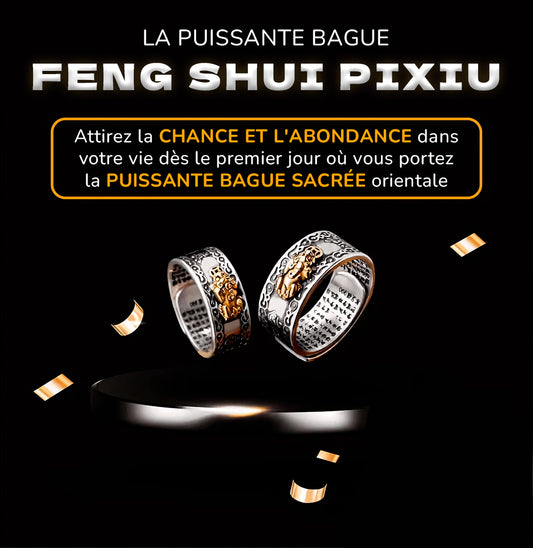 Bague Feng Shui Pixiu – La Bague Puissante